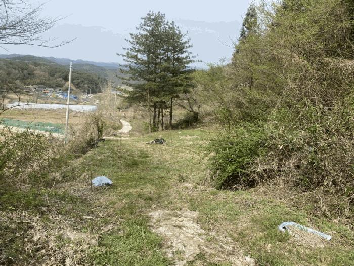 전라남도 화순군 이양면 초방리 860-2 전 경매 사진 14