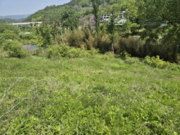전라남도 담양군 담양읍 학동리 707 대지 경매 사진 19