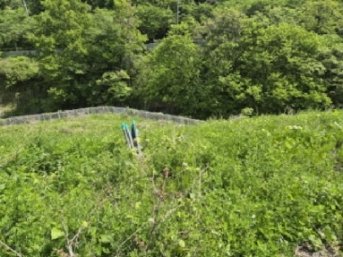 전라남도 담양군 담양읍 학동리 707 대지 경매 사진 22