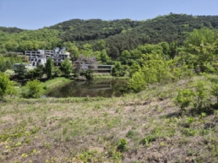 전라남도 담양군 담양읍 학동리 707 대지 경매 사진 29