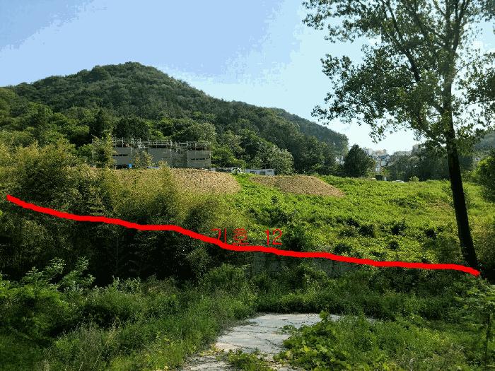 전라남도 담양군 담양읍 학동리 707 대지 경매 사진 3