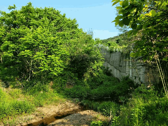 전라남도 담양군 담양읍 학동리 707 대지 경매 사진 4