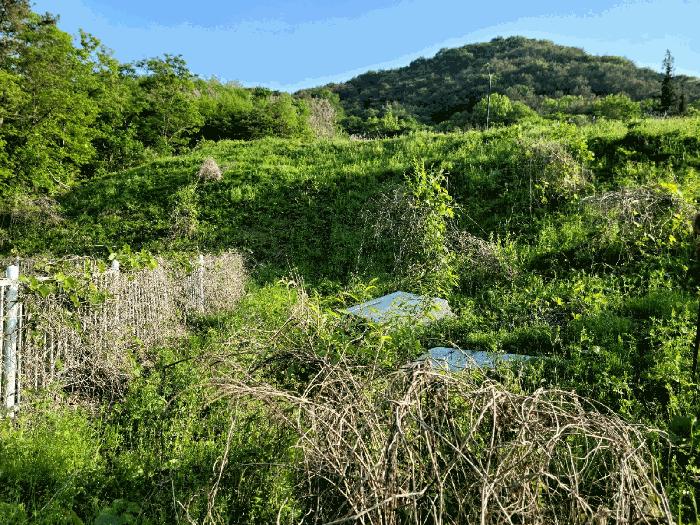 전라남도 담양군 담양읍 학동리 707 대지 경매 사진 5