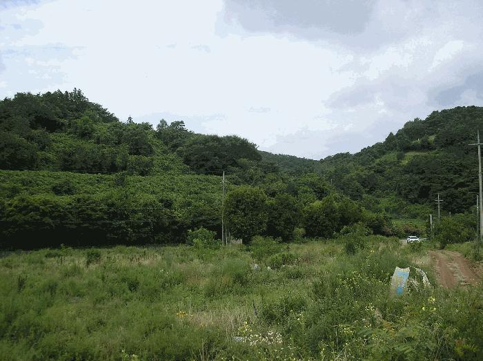 전라남도 화순군 백아면 원리 442 전 경매 사진 2