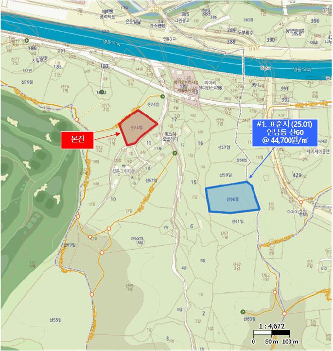 경기도 용인시 기흥구 언남동 산73 임야 경매 사진 15