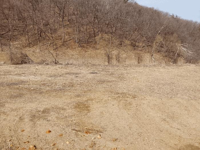 경기도 광주시 남종면 삼성리 437-2 전 경매 사진 6