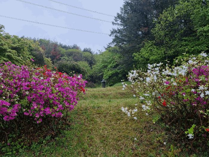 경기도 광주시 도척면 추곡리 91 전 경매 사진 3