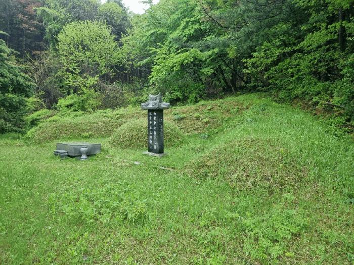 경기도 광주시 도척면 추곡리 91 전 경매 사진 4