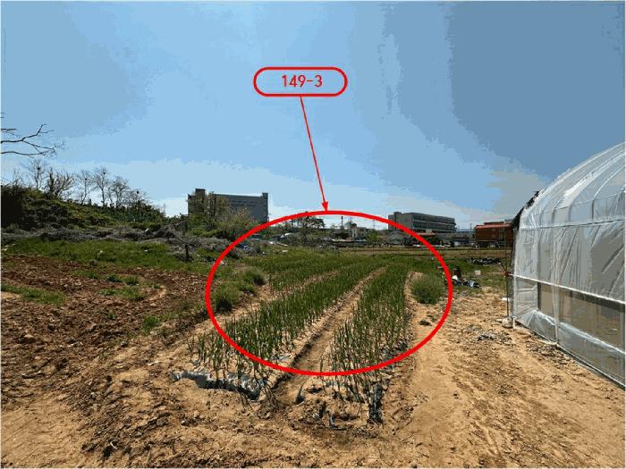 경기도 평택시 포승읍 도곡리 149-3 대지 경매 사진 2