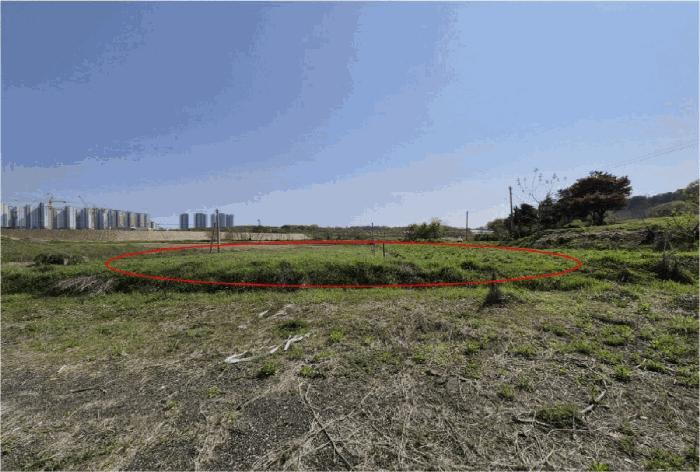 경기도 평택시 고덕면 당현리 487-2 전 경매 사진 1