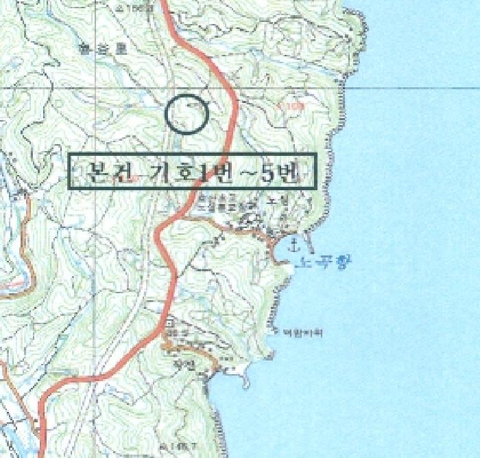 강원특별자치도 삼척시 원덕읍 노곡리 산175-1 임야 경매 사진 13