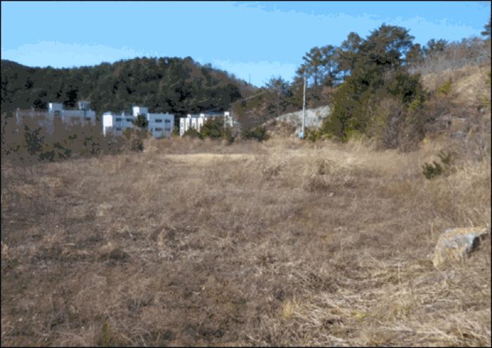 강원특별자치도 삼척시 원덕읍 노곡리 산175-1 임야 경매 사진 6