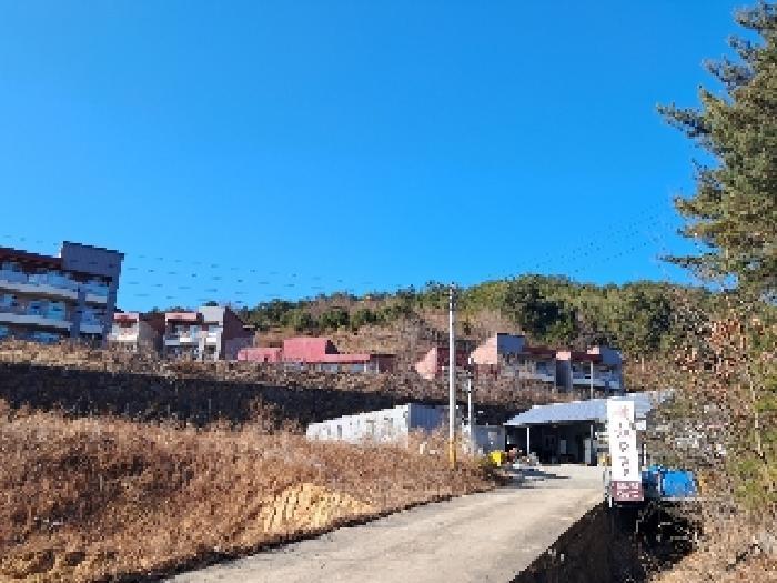 강원특별자치도 삼척시 원덕읍 노곡리 산175-1 임야 경매 사진 9