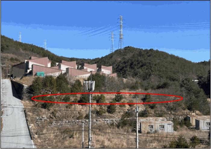 강원특별자치도 삼척시 원덕읍 노곡리 산176-4 임야 경매 사진 2