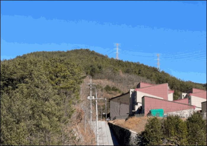 강원특별자치도 삼척시 원덕읍 노곡리 산176-4 임야 경매 사진 3