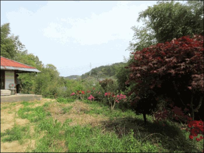 강원특별자치도 동해시 대구동 169-1 전 경매 사진 1