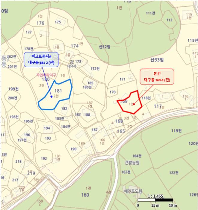 강원특별자치도 동해시 대구동 169-1 전 경매 사진 9