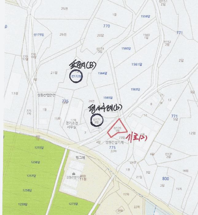 강원특별자치도 강릉시 구정면 금광리 산170-1 임야 경매 사진 10