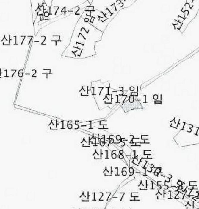 강원특별자치도 강릉시 구정면 금광리 산170-1 임야 경매 사진 12