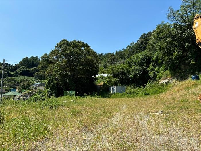 충청북도 충주시 중앙탑면 장천리 산6 임야 경매 사진 10