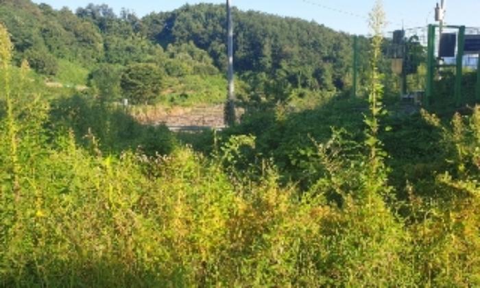 충청북도 충주시 중앙탑면 장천리 산6 임야 경매 사진 14