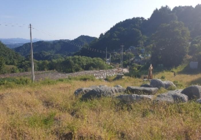 충청북도 충주시 중앙탑면 장천리 산6 임야 경매 사진 18