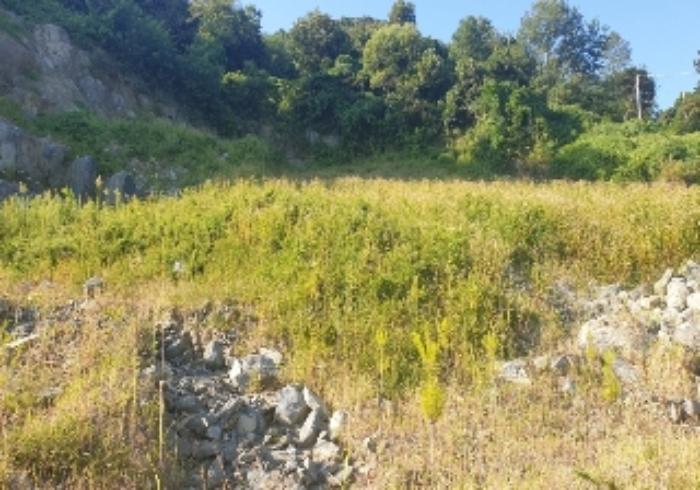 충청북도 충주시 중앙탑면 장천리 산6 임야 경매 사진 22