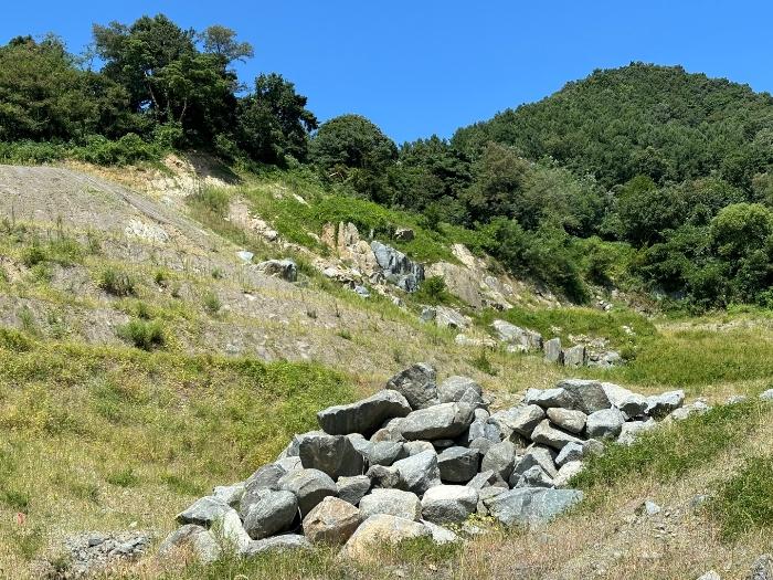 충청북도 충주시 중앙탑면 장천리 산6 임야 경매 사진 3