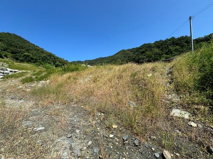 충청북도 충주시 중앙탑면 장천리 산6 임야 경매 사진 7