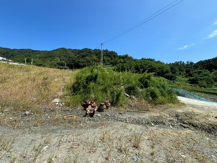 충청북도 충주시 중앙탑면 장천리 산6 임야 경매 사진 8
