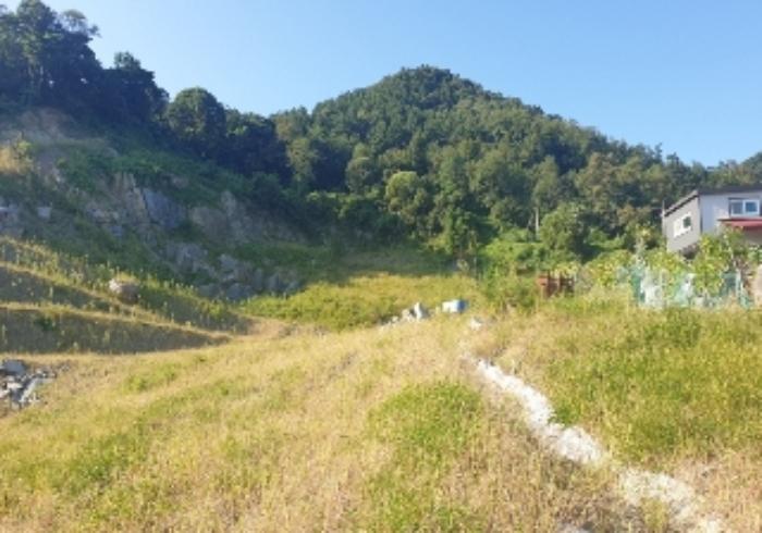 충청북도 충주시 엄정면 유봉리 125 답 경매 사진 21