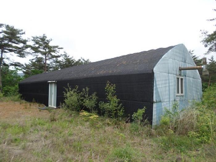 강원특별자치도 횡성군 안흥면 안흥리 산221-2 임야 경매 사진 10