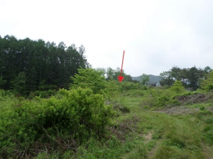 강원특별자치도 횡성군 안흥면 안흥리 산221-2 임야 경매 사진 5