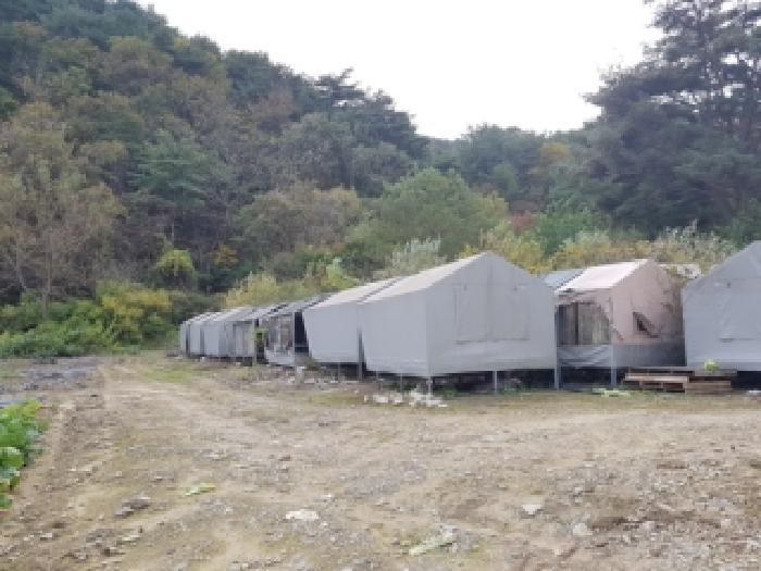 강원특별자치도 인제군 북면 용대리 1357-2 전 경매 사진 21