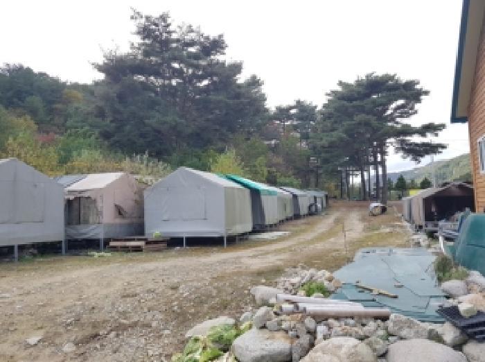 강원특별자치도 인제군 북면 용대리 1357-2 전 경매 사진 22