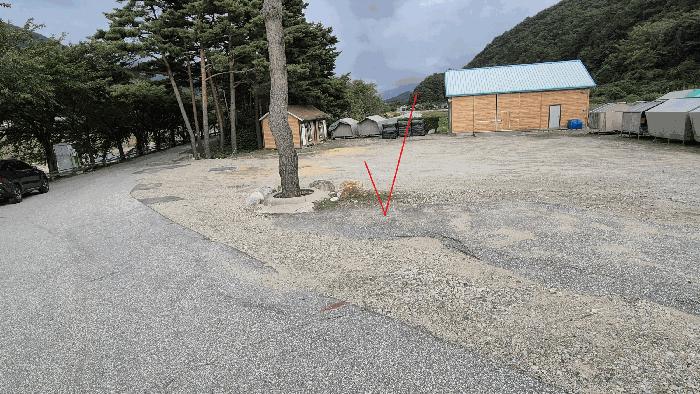 강원특별자치도 인제군 북면 용대리 1357-2 전 경매 사진 3