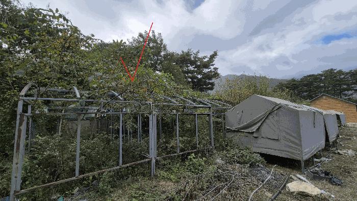강원특별자치도 인제군 북면 용대리 1357-2 전 경매 사진 8