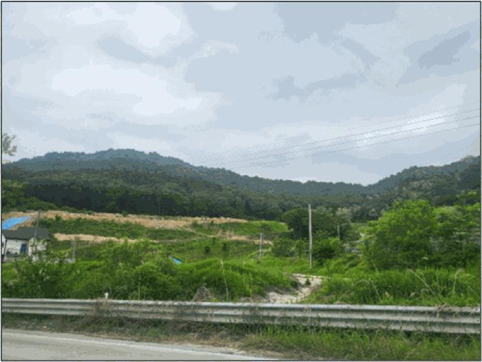 강원특별자치도 원주시 소초면 흥양리 839-1 답 경매 사진 5