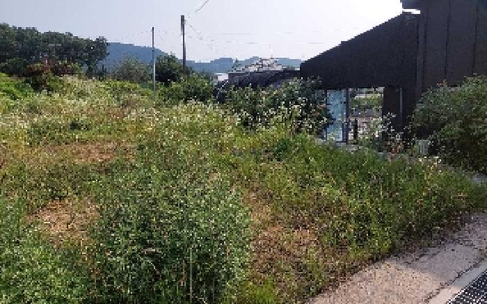 충청남도 아산시 기산동 219-3 대지 경매 사진 10