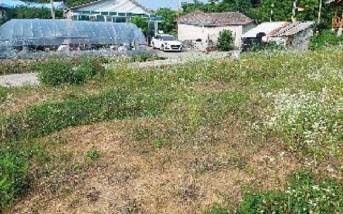 충청남도 아산시 기산동 219-3 대지 경매 사진 14