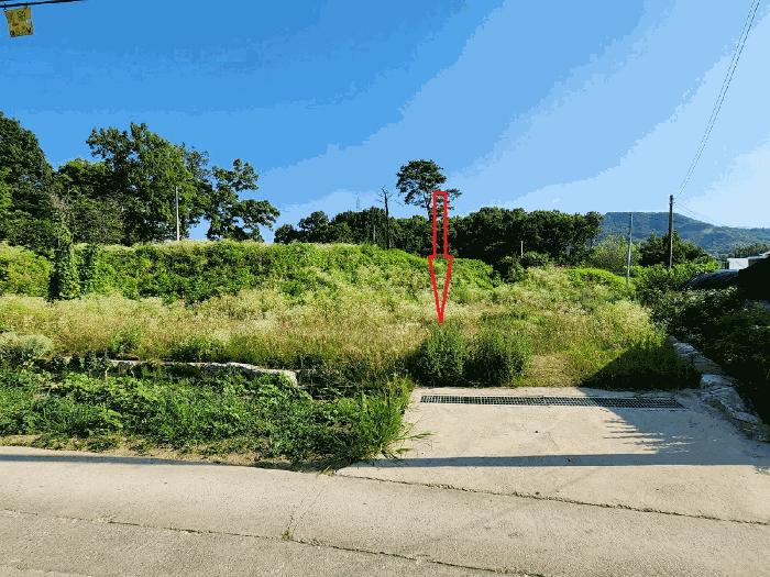 충청남도 아산시 기산동 219-3 대지 경매 사진 3