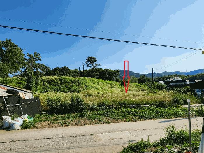 충청남도 아산시 기산동 219-3 대지 경매 사진 4