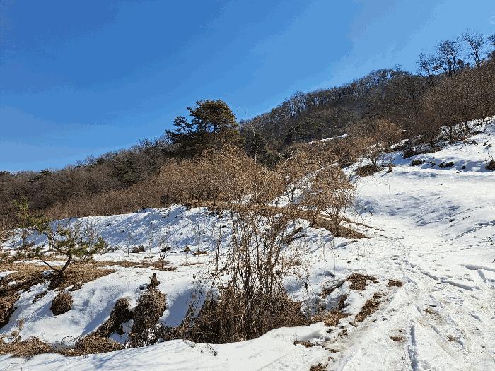 충청북도 충주시 주덕읍 화곡리 816-99 근린주택 경매 사진 10