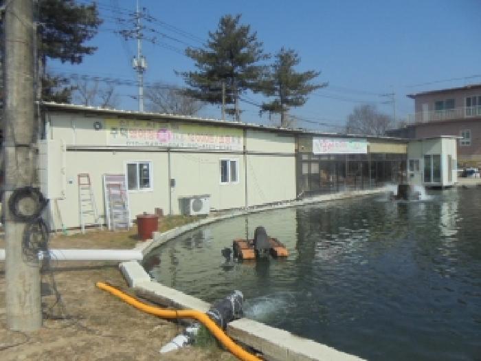 충청북도 충주시 주덕읍 화곡리 816-99 근린주택 경매 사진 37