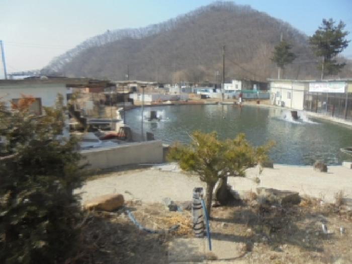 충청북도 충주시 주덕읍 화곡리 816-99 근린주택 경매 사진 39