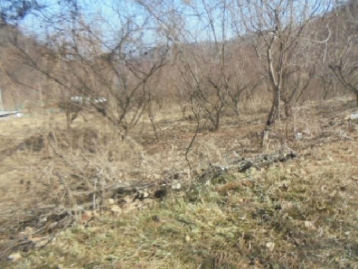 충청북도 충주시 주덕읍 화곡리 816-99 근린주택 경매 사진 49