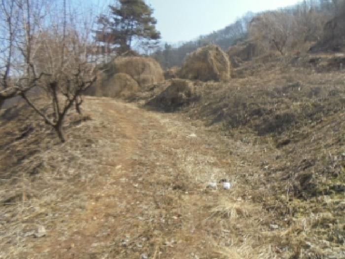충청북도 충주시 주덕읍 화곡리 816-99 근린주택 경매 사진 50