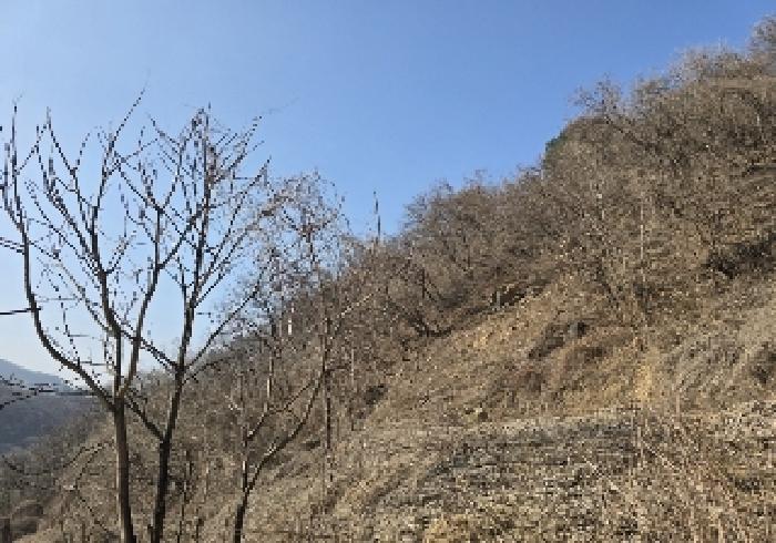 충청북도 충주시 전