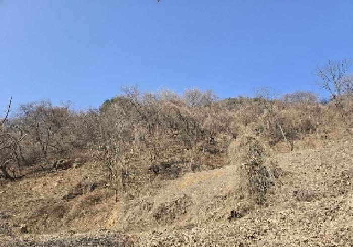 충청북도 충주시 살미면 향산리 564 전 경매 사진 2
