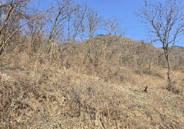충청북도 충주시 살미면 향산리 564 전 경매 사진 3
